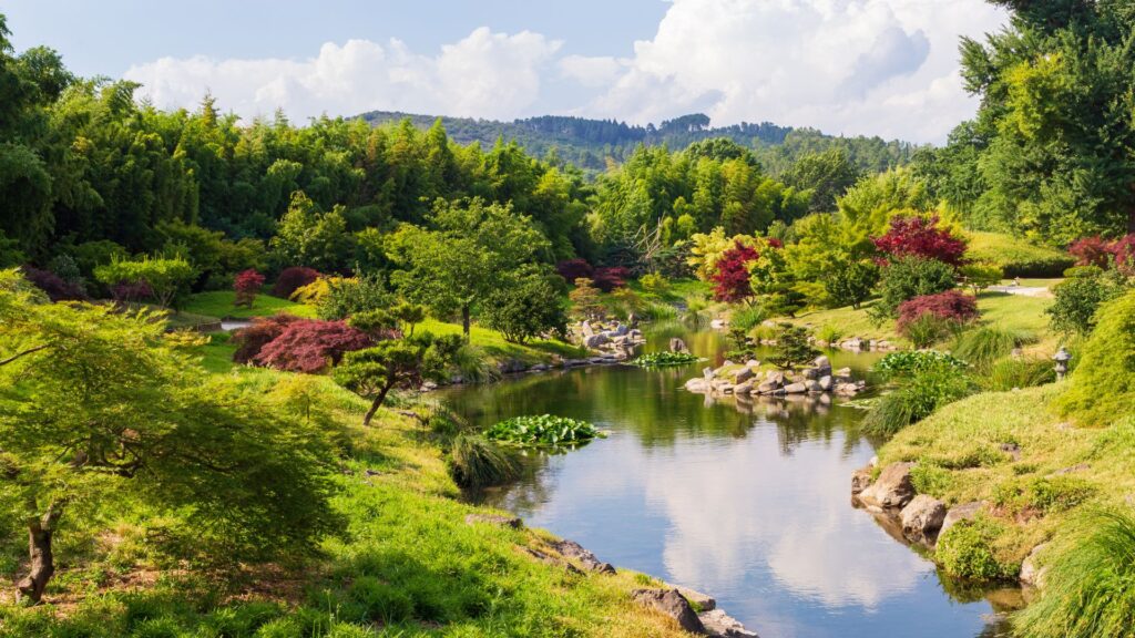 Return to the Garden