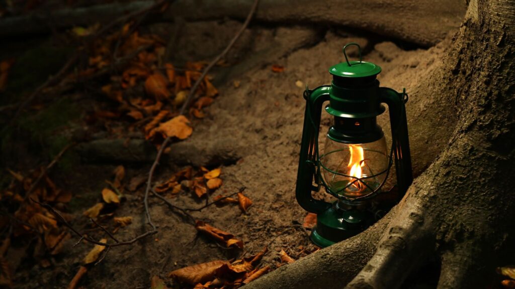 The light in front of us.