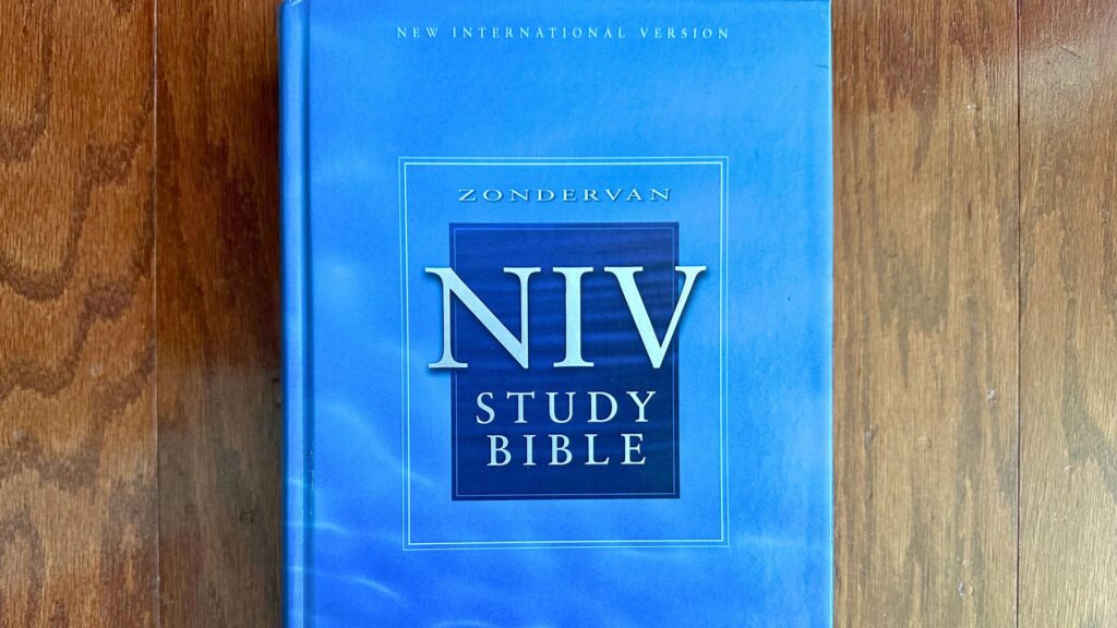 Psalm 51:5 and the New International Version